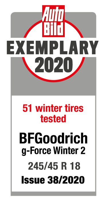 Neumatico De Carretera Bfgoodrich G Force Winter 2